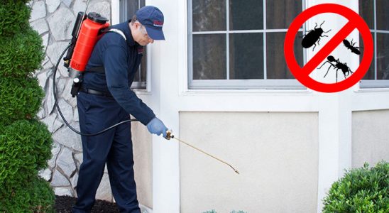 Nurdağı Böcek İlaçlama böcek ilaçlama ve haşere kontrolü — ilaclama-tr.com